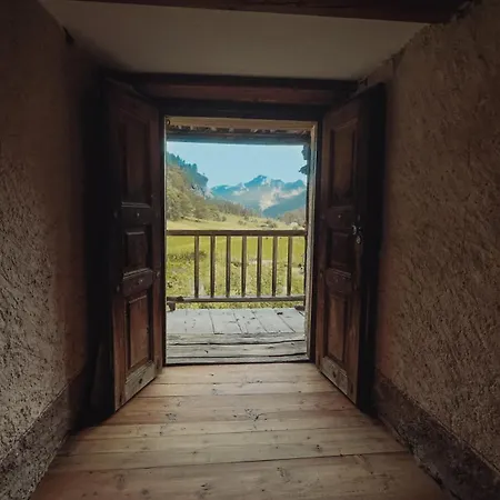 Apartment Casalpina Cozy *